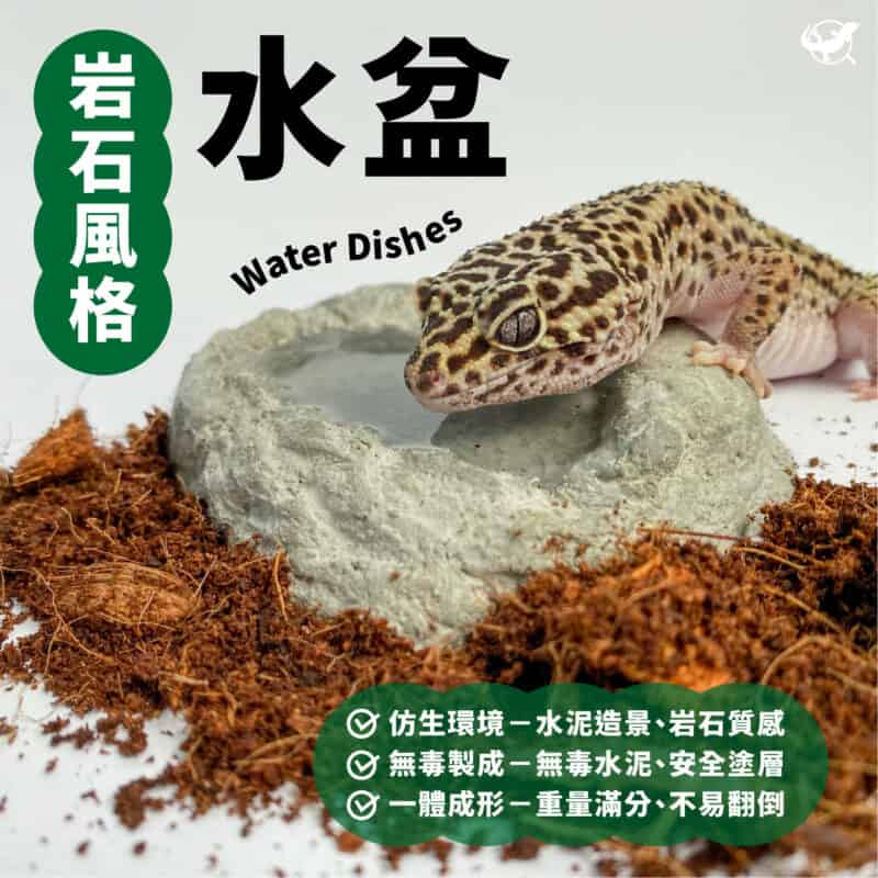 爬蟲岩石風格水盆