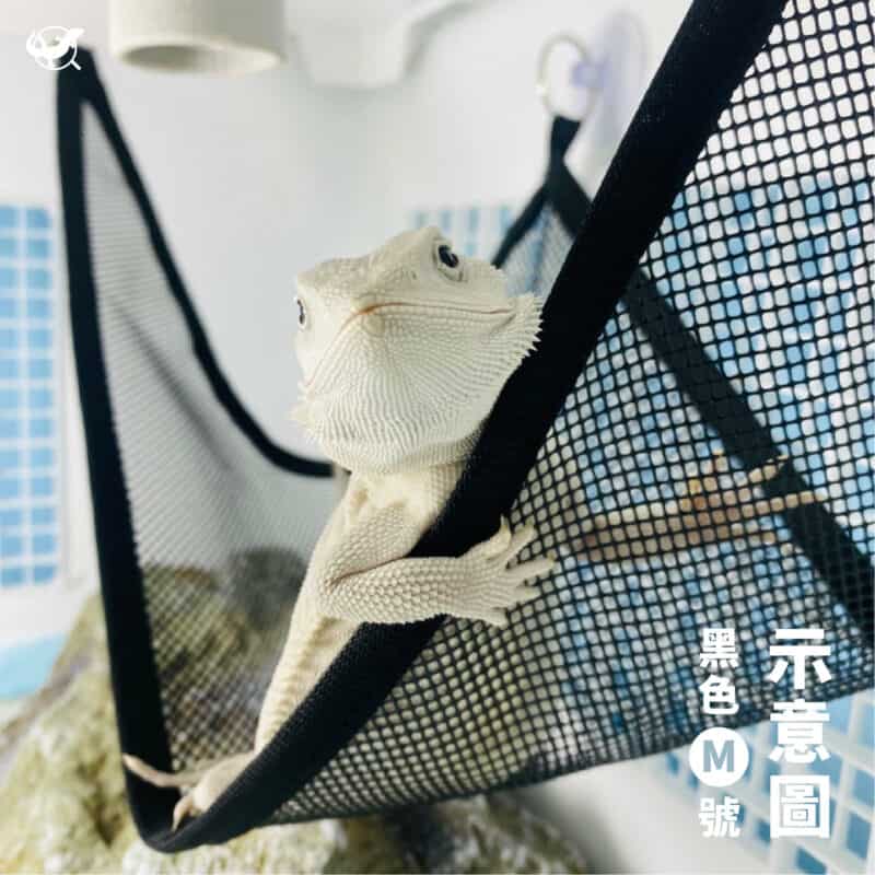 爬蟲吊床 - 黑色 M 號