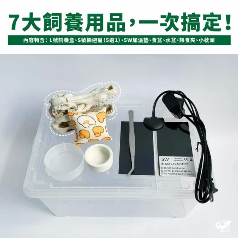 守宮飼養基本組 - 鱷魚頭骨躲避屋