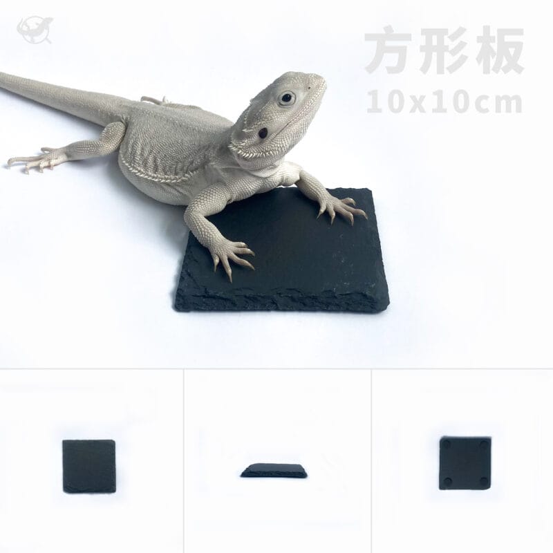 爬蟲磨甲岩板－矩形 10*10cm