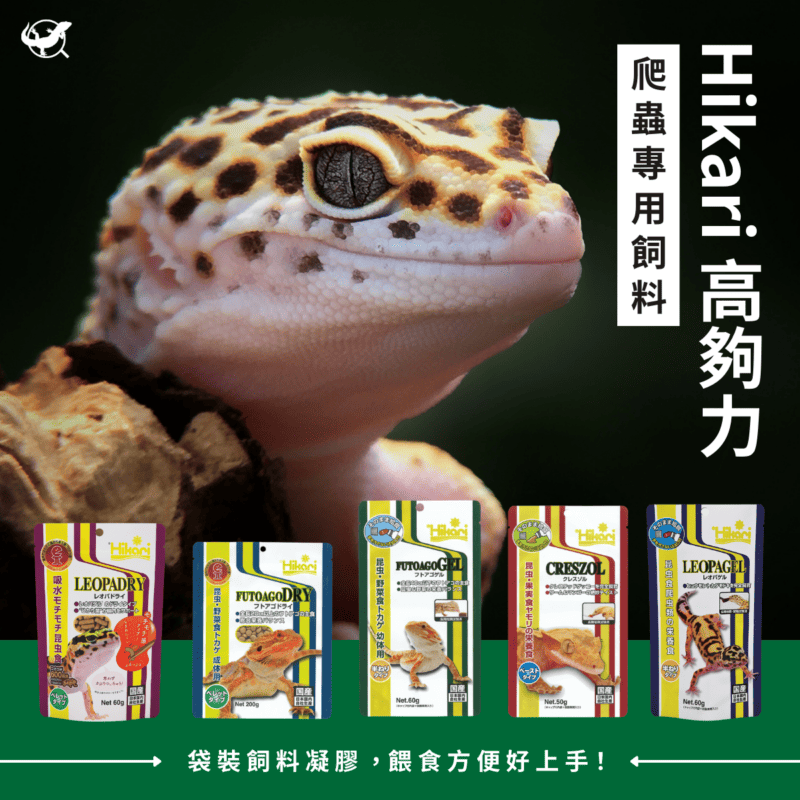 高夠力 爬蟲專用飼料