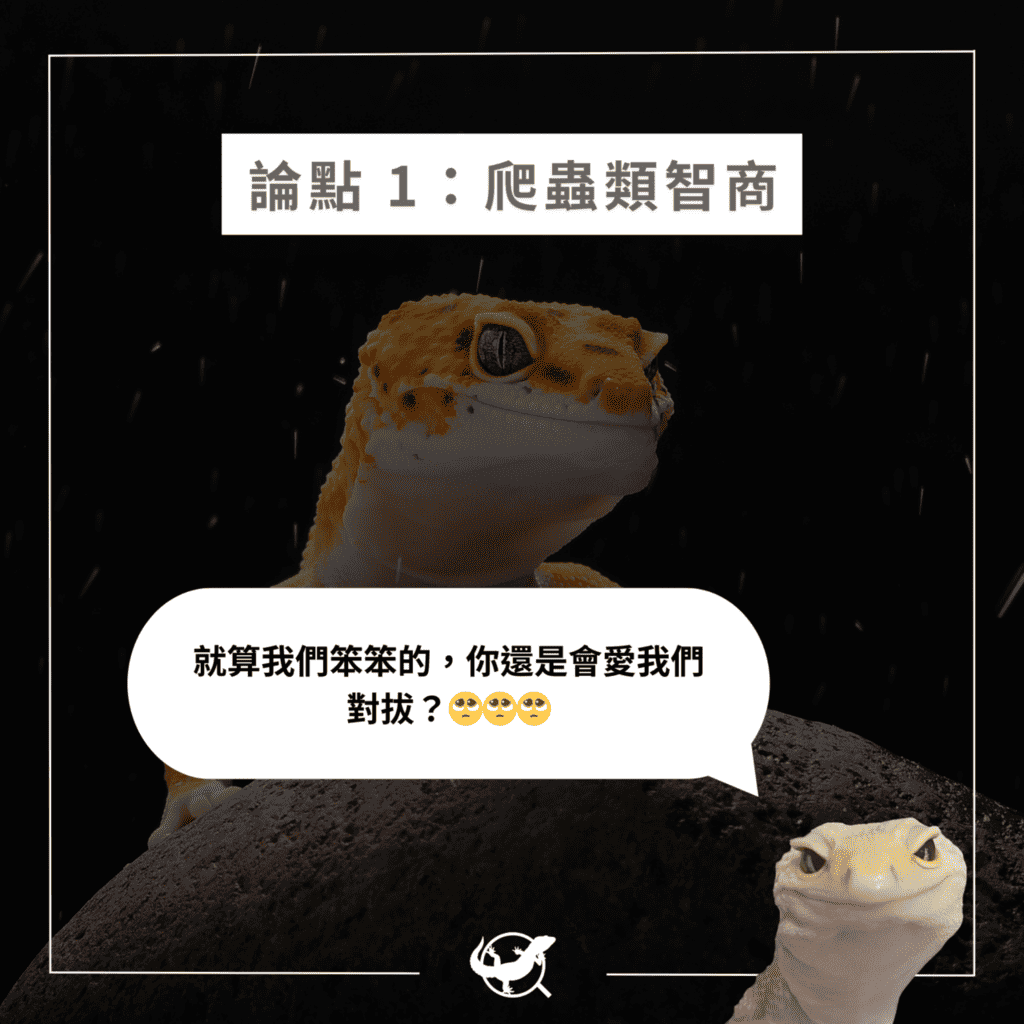 爬蟲會認人嗎？守宮會認主人嗎？用2 個論點來聊聊其可能性– 爬蟲特派員