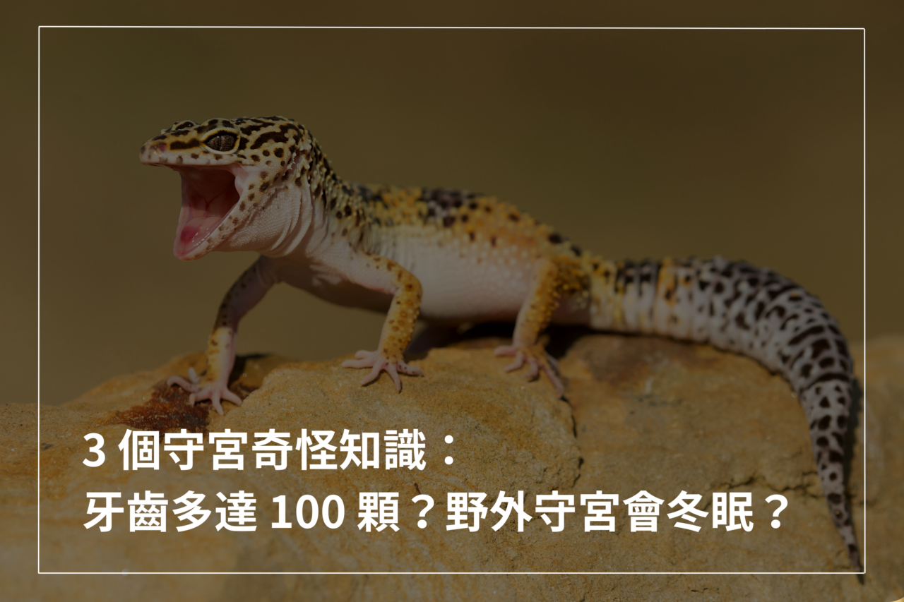 爬蟲百科– 爬蟲特派員