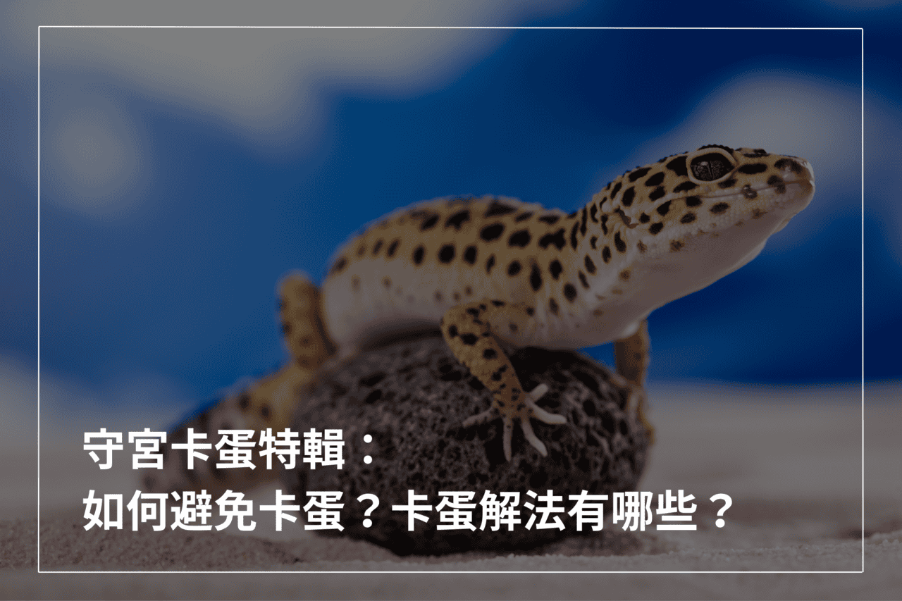 爬蟲百科– 爬蟲特派員