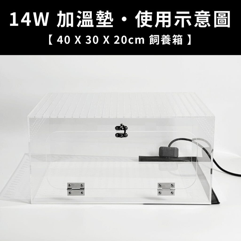 守宮加熱墊擺放位置示意圖